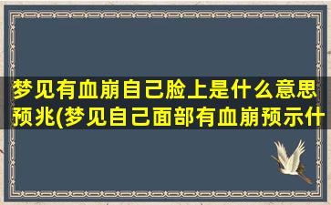 梦见有血崩自己脸上是什么意思 预兆(梦见自己面部有血崩预示什么？解梦大全详细解释)